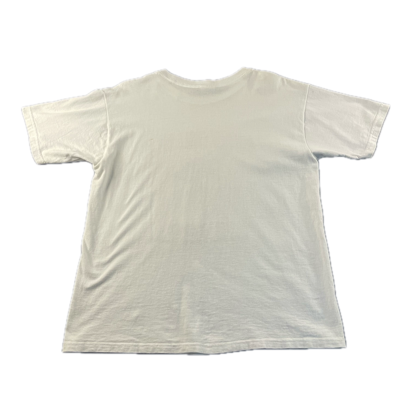 Vintage 2000 Golden Eagle Open Fruit of the Loom T-Shirt (L)
