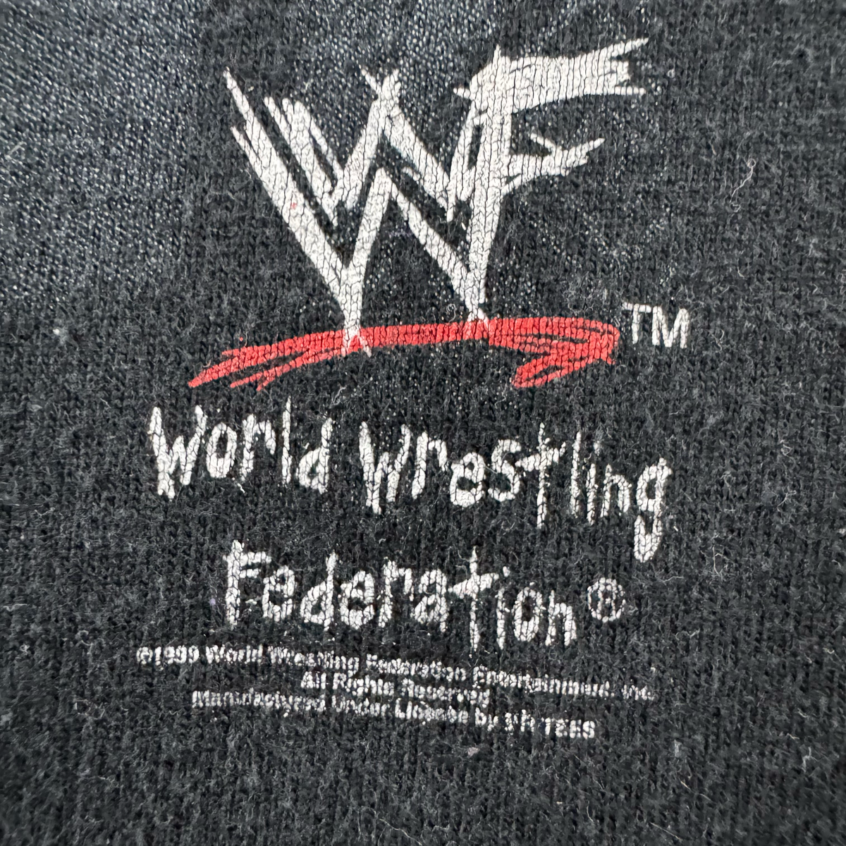 Vintage 1999 WWF The Rock "It Doesn't Matter What Your Name Is" T-shirt (XL)