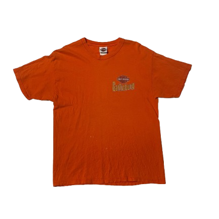 Harley Davidson Smokey Mountains Gatlinburg Orange T-Shirt (L)