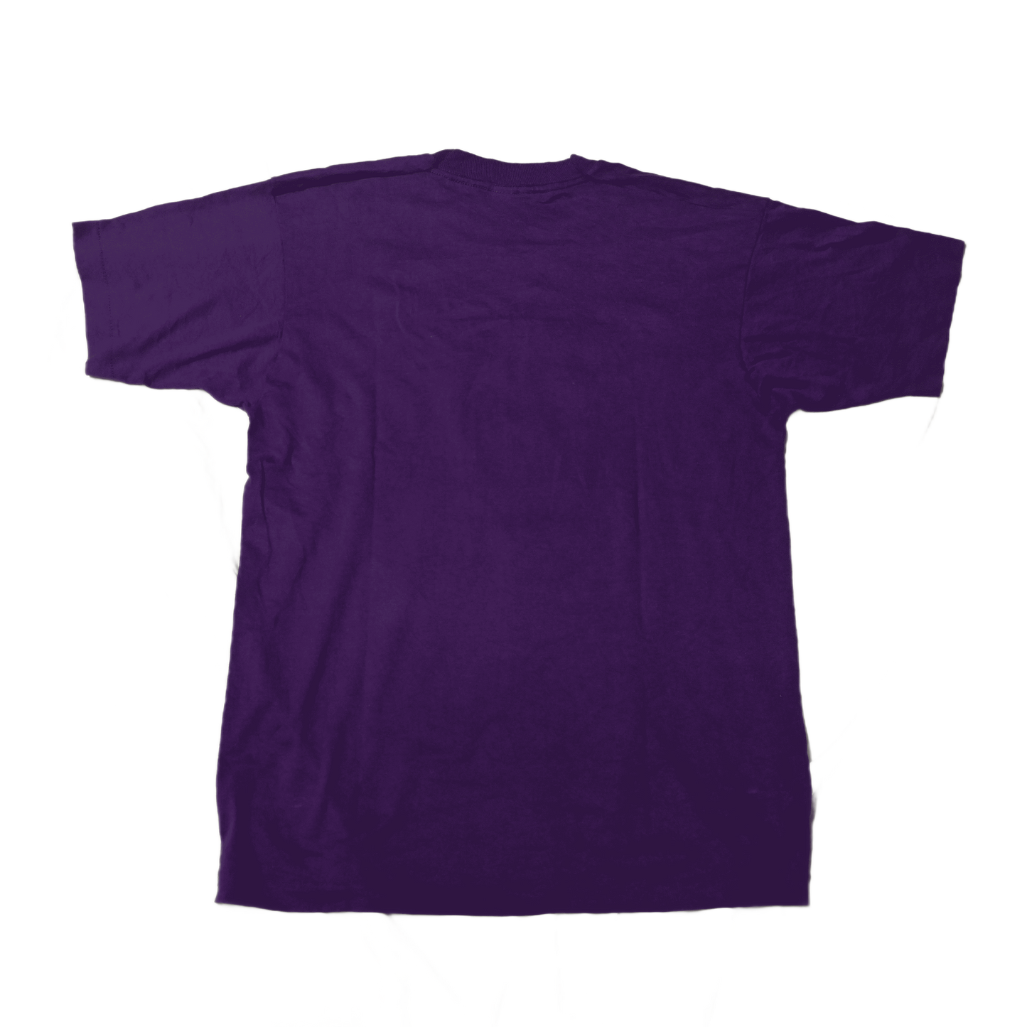 VINTAGE BULL RIDING PURPLE T-SHIRT (L)