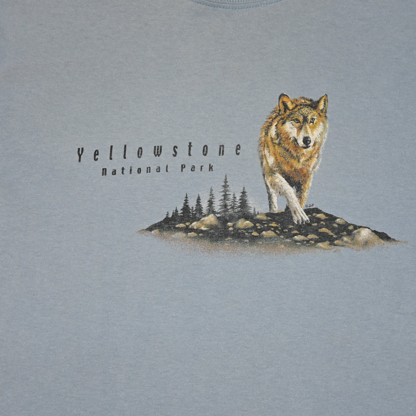 VINTAGE YELLOWSTONE T-SHIRT (M)