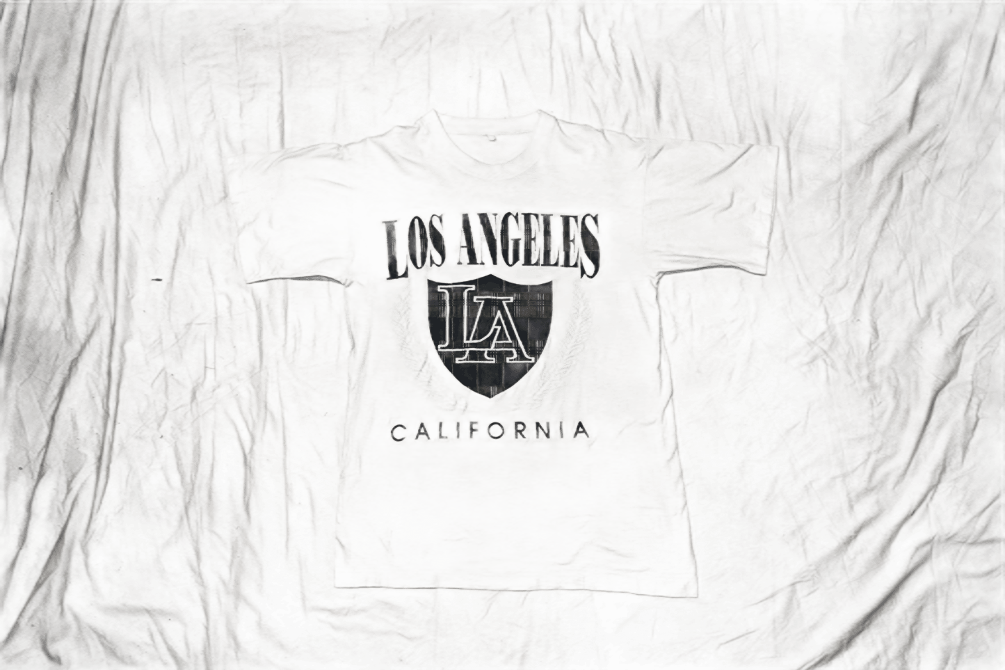 LOS ANGELESE EMBROIDED T-SHIRT (M)