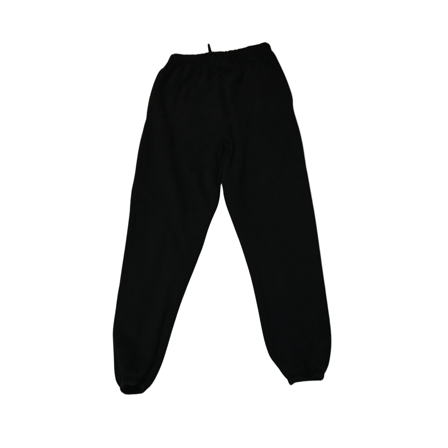 Champion Climate Change Sweatpants (M)