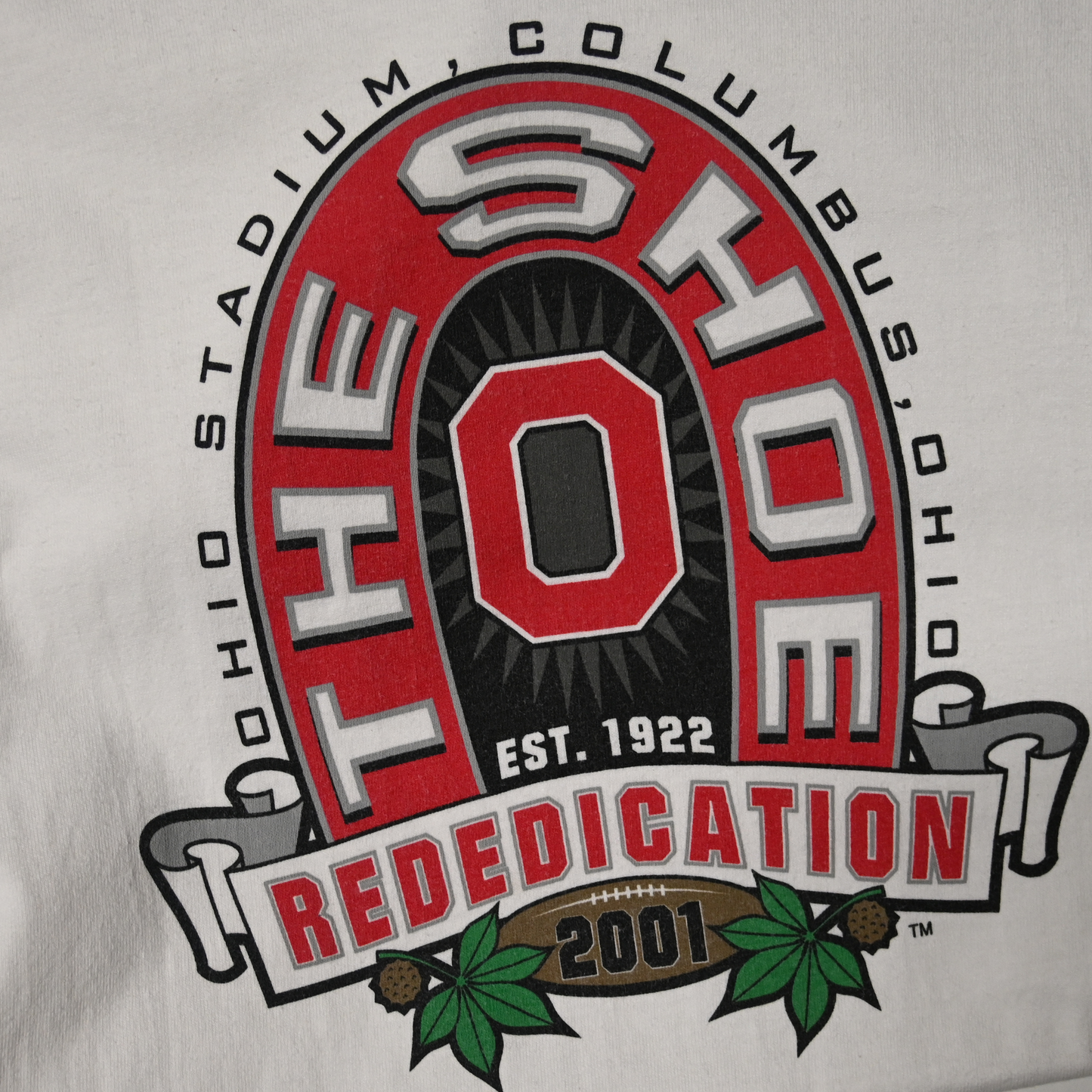 Vintage 2001 Ohio State T-shirt (XL)