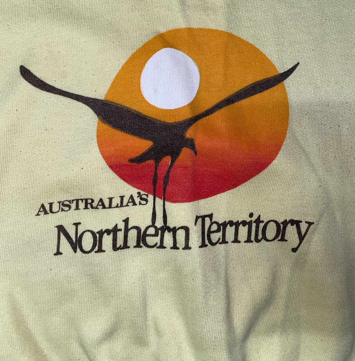Vintage Northern Territory Sweater (14)